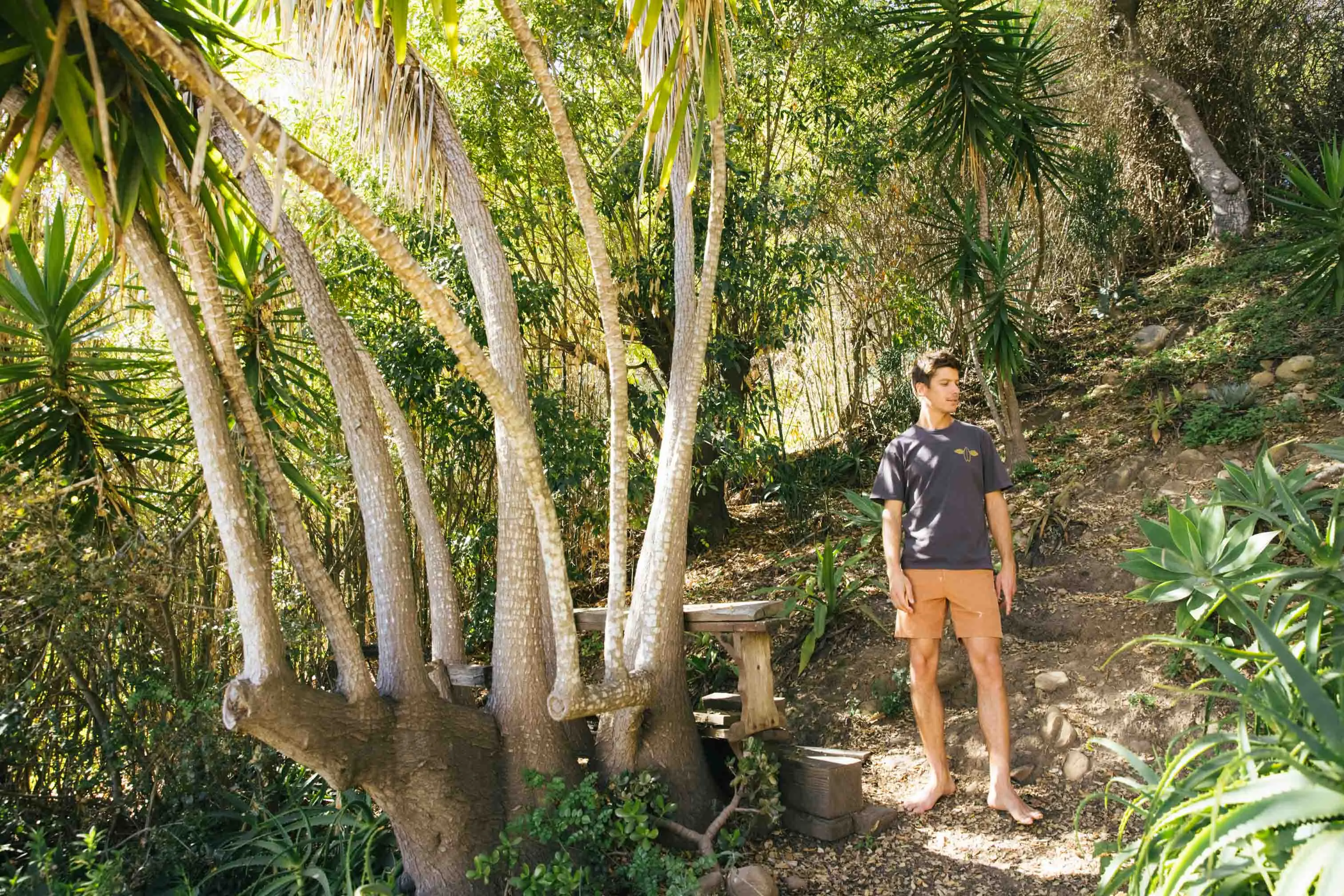 Corduroy Salvador Shorts