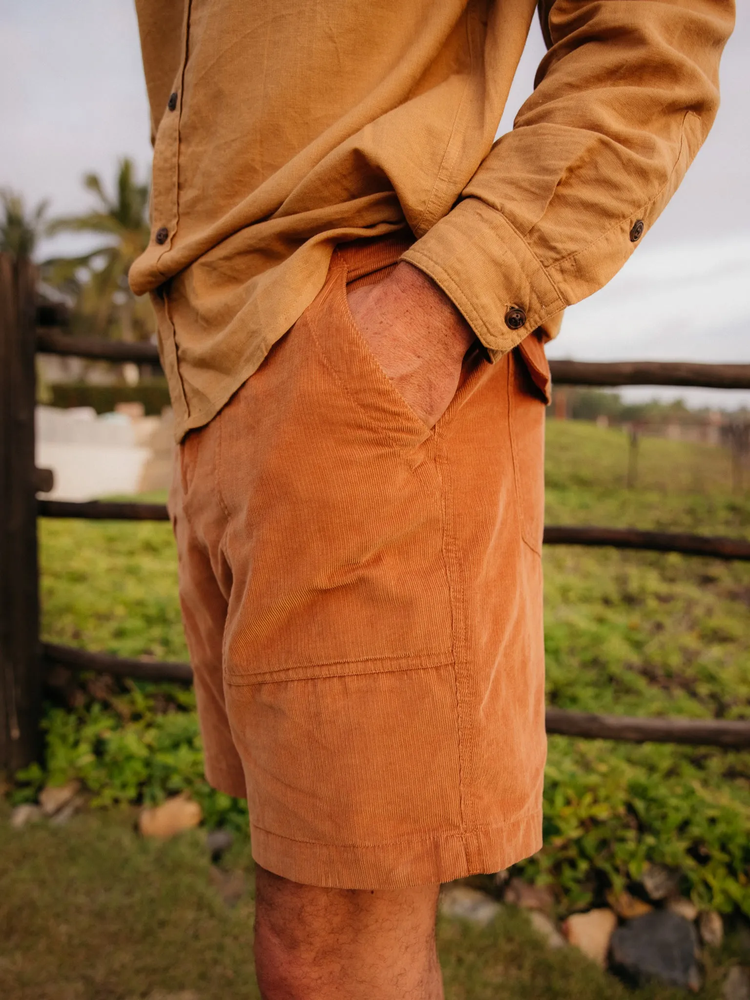 Corduroy Salvador Shorts