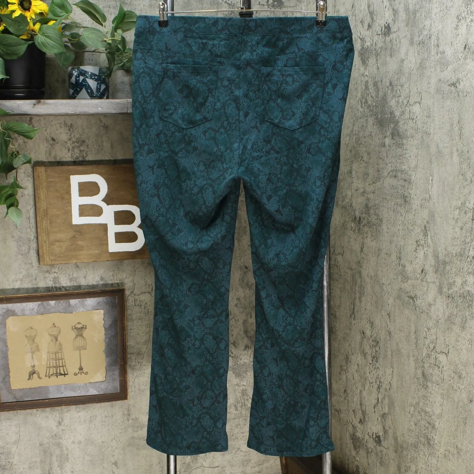 DG2 by Diane Gilman Women's Plus Size Patterned Ponte Boot Cut Pants