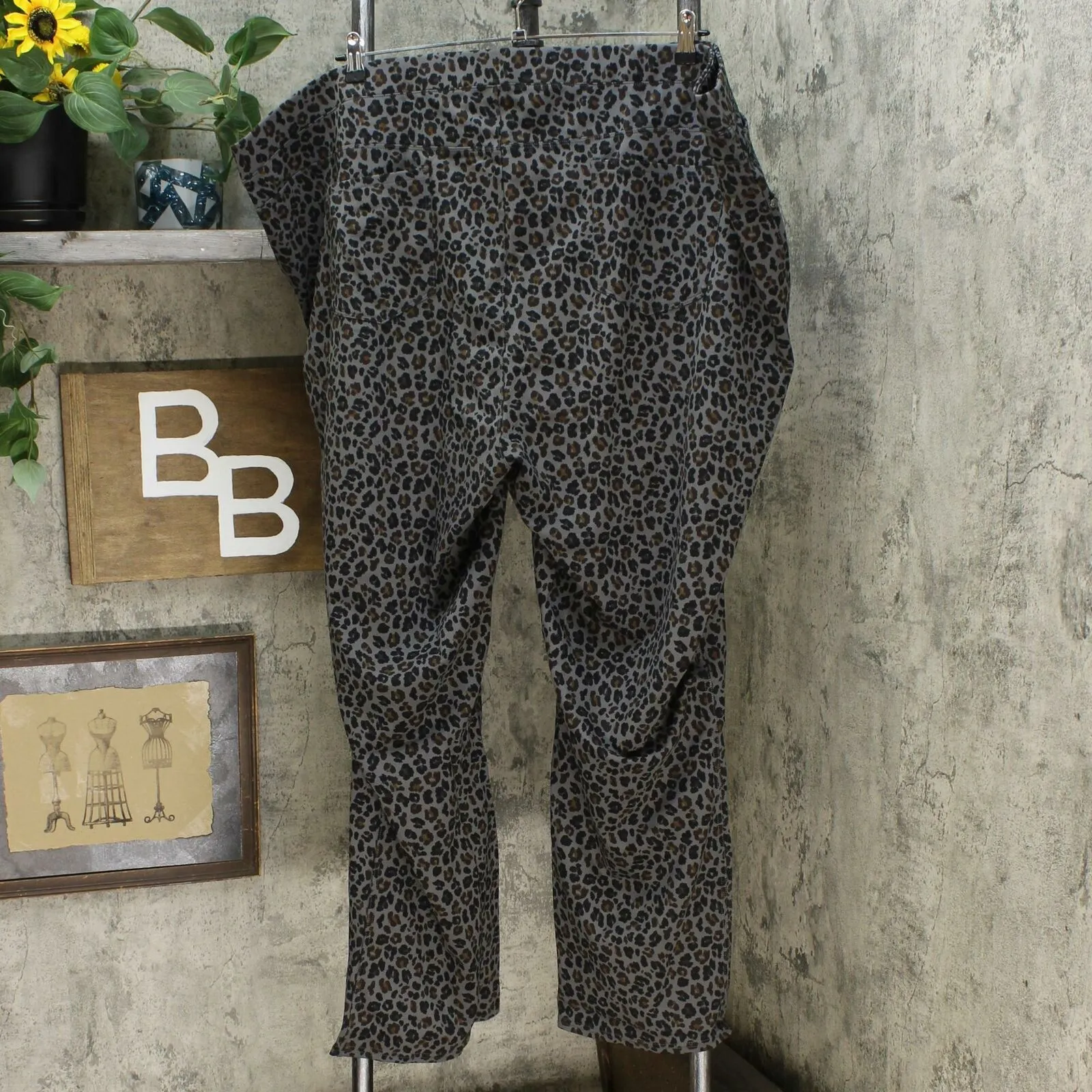 DG2 by Diane Gilman Women's Plus Size Patterned Ponte Boot Cut Pants