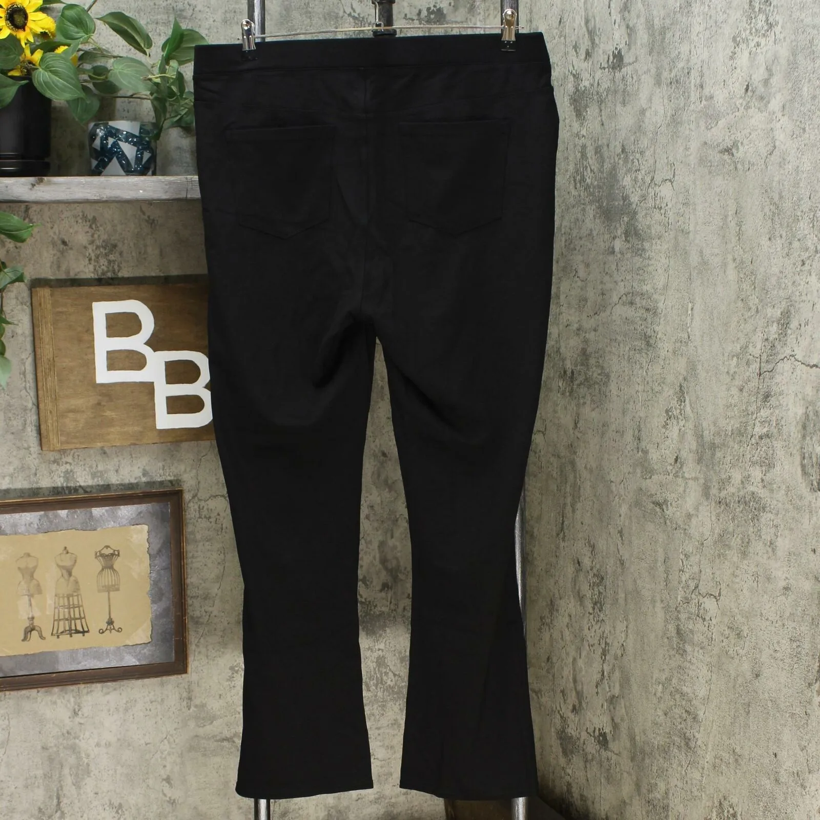 DG2 by Diane Gilman Women's Plus Size Pull On Eco Ponte Boot Cut Pants