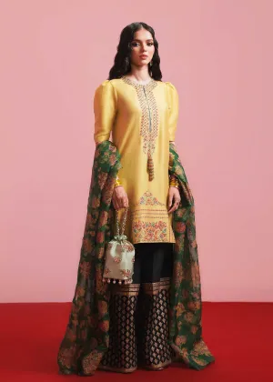 Hussain Rehar - Mariglod
