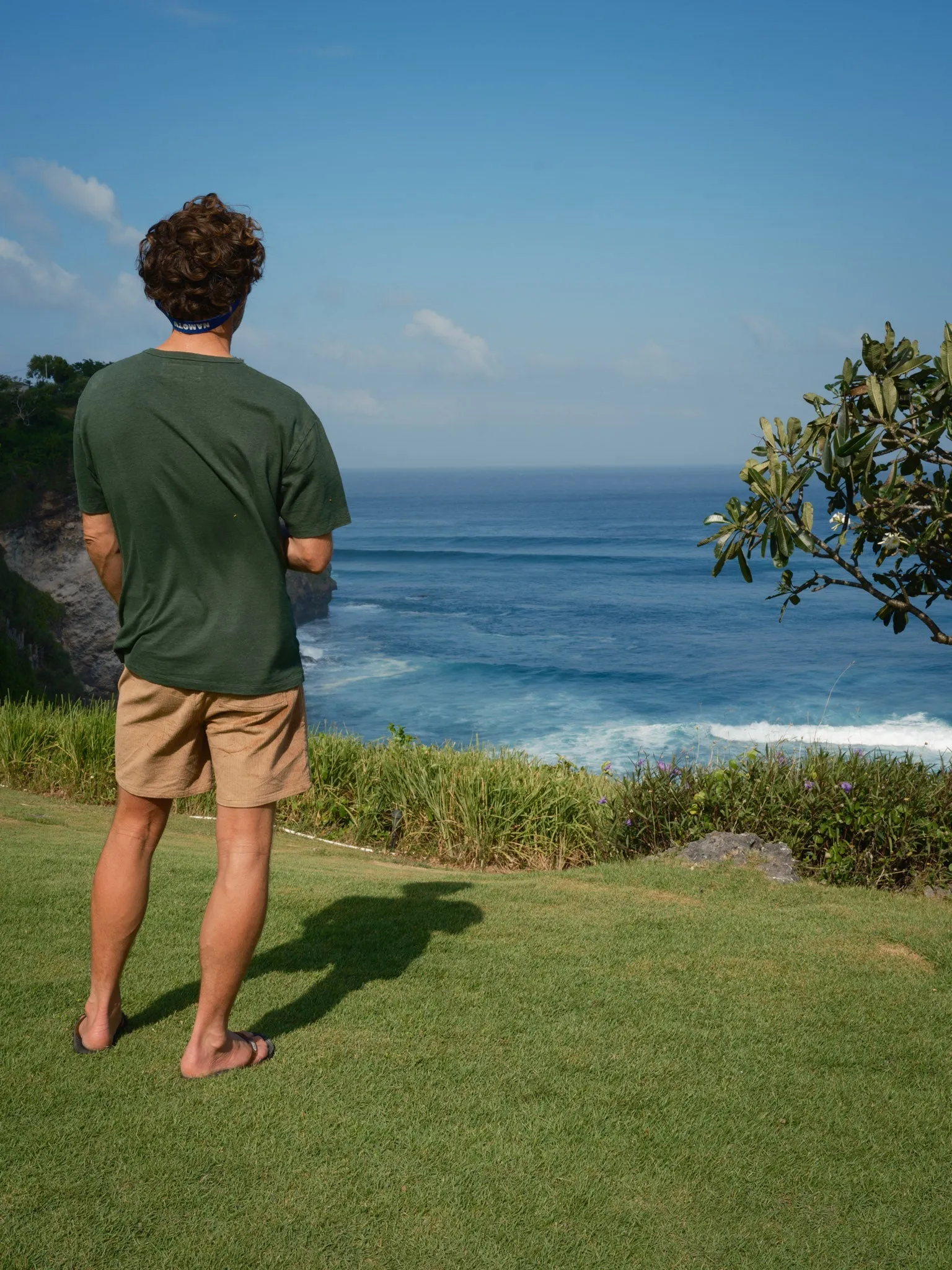 Shroom Shorts