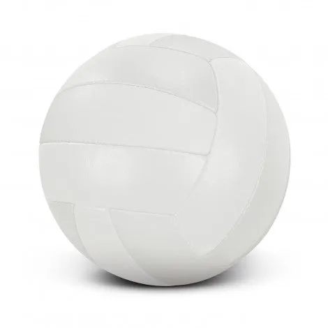 Volleyball Pro