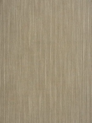 Woodnote - Camel